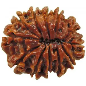 9 mukhi